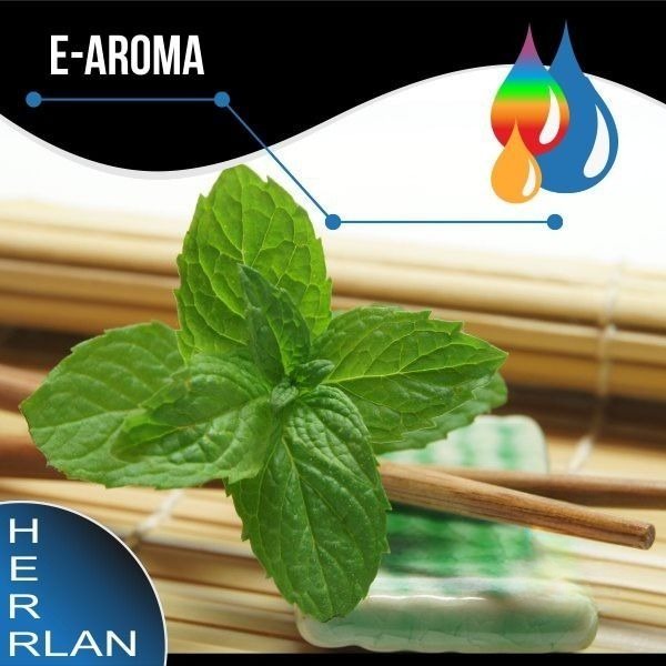 HERRLAN Spearmint Aroma - 10ml