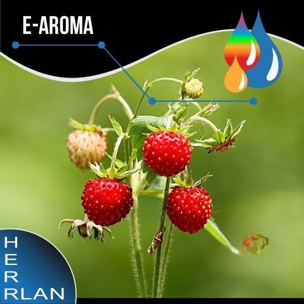 HERRLAN Walderdbeere Aroma - 10ml